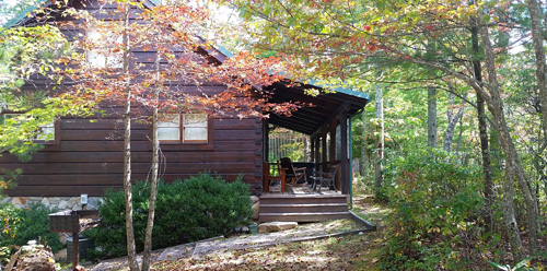 yellow owl cabin